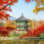 Experiencing Seoul Like a Local: A Comprehensive Guide
