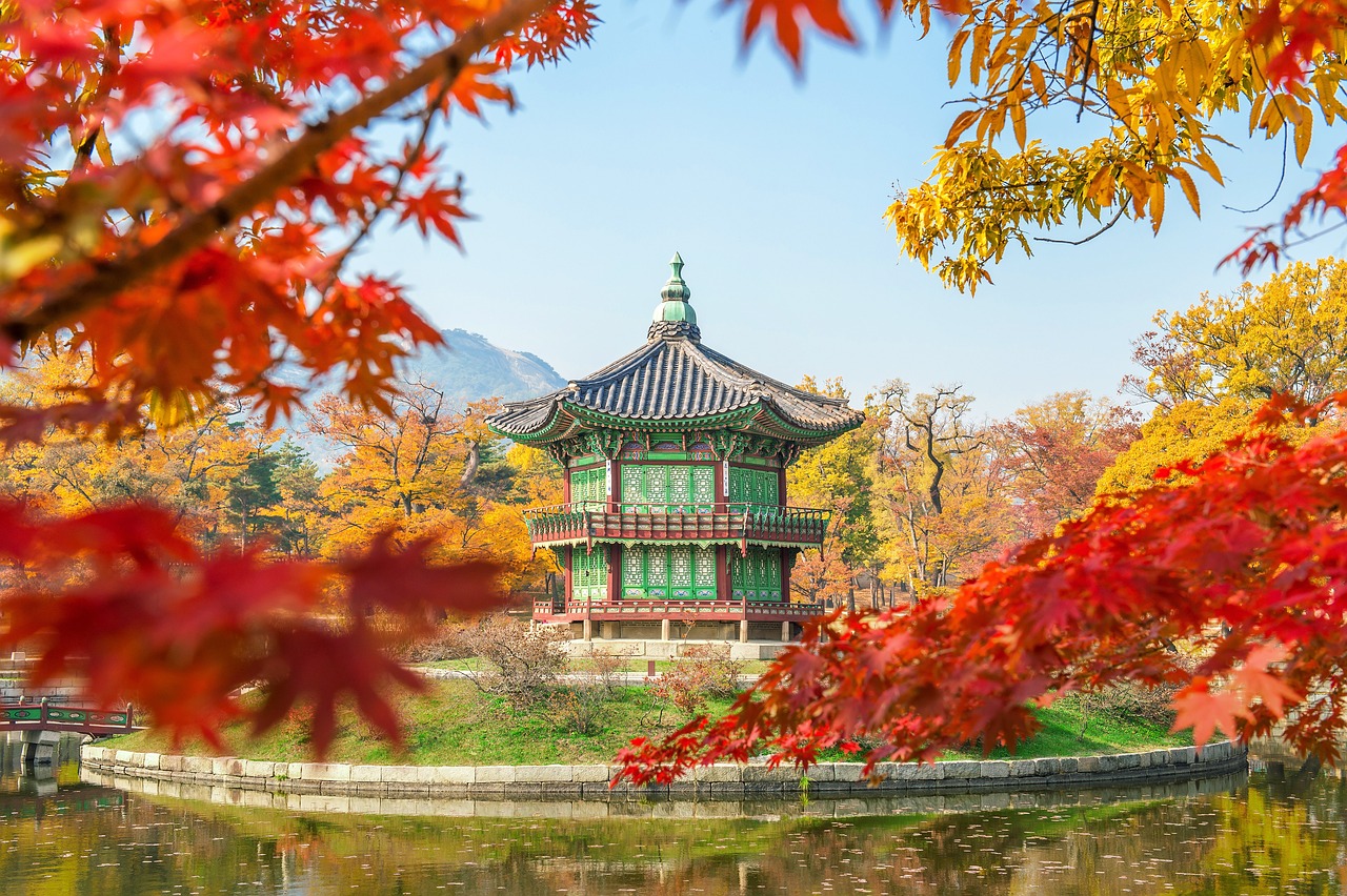 Read more about the article Experiencing Seoul Like a Local: A Comprehensive Guide